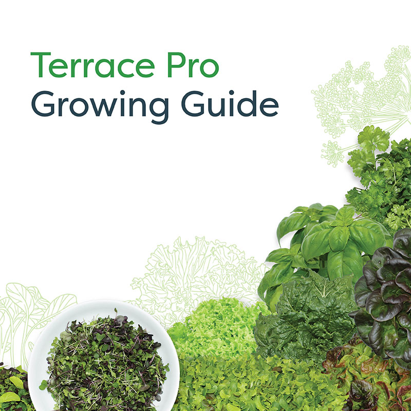 Terrace Pro Growing Guide