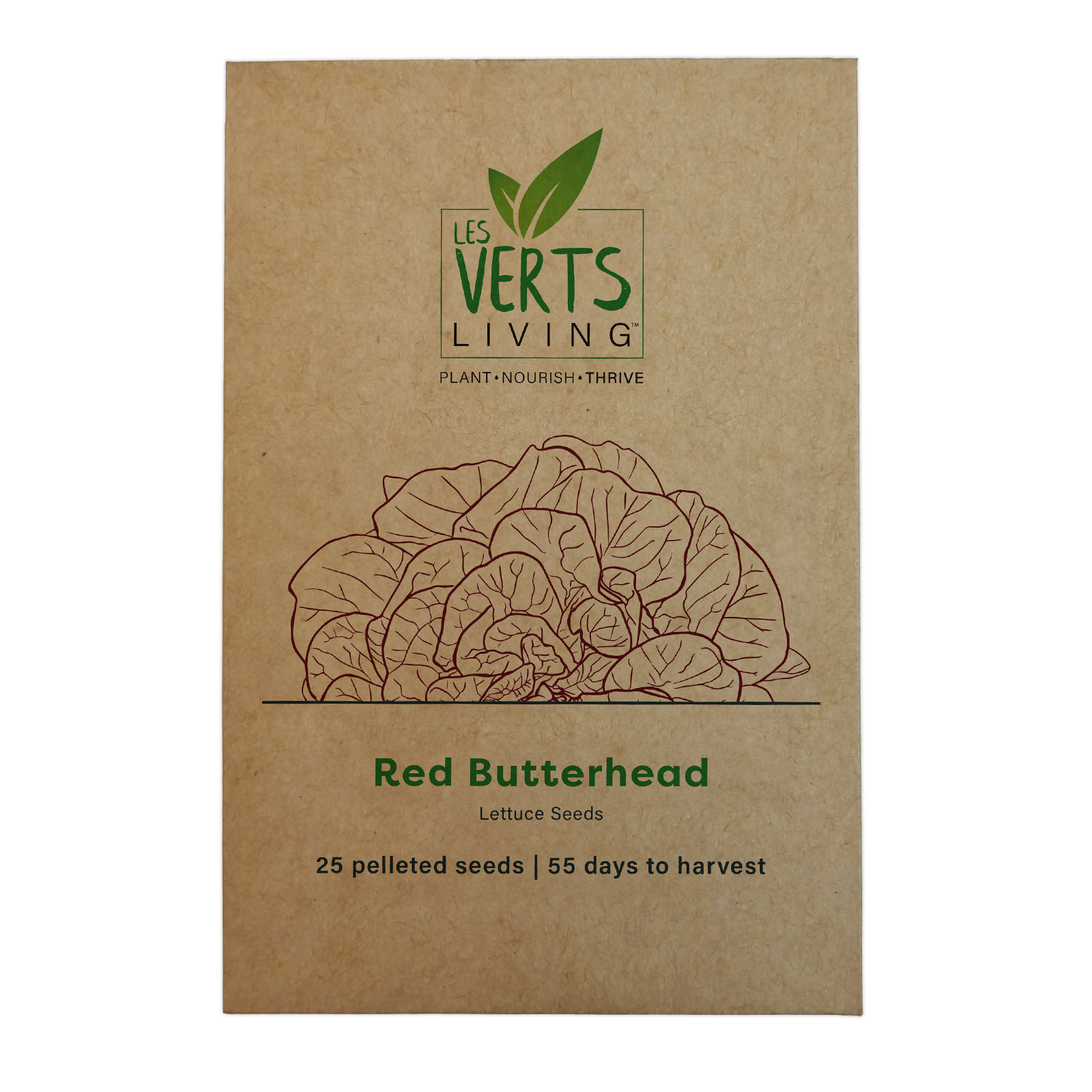 Red Butterhead Lettuce Les Verts Living